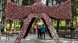 Una de las obras de Zaragoza Florece, 2025.