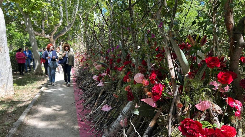 La Pajarera, por Carlos Curbelo.