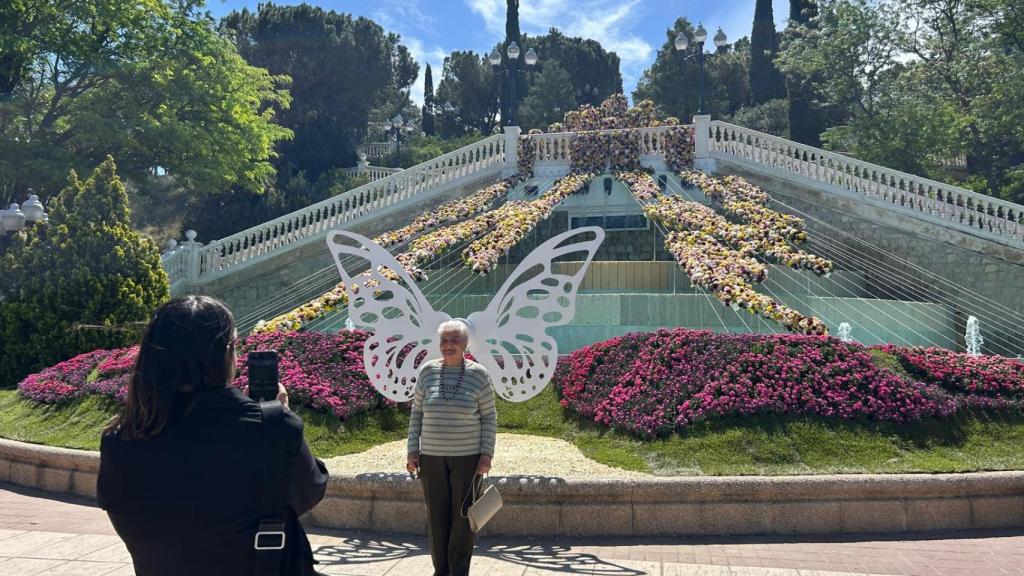 La Escalinata del Batallador con la exposición de Tomás de Bruyne.