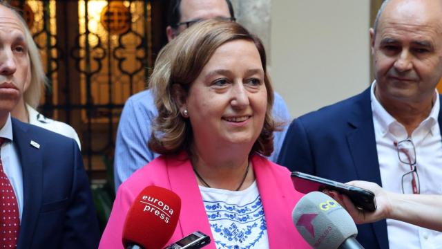 La presidenta de la Diputación de Toledo, Concepción Cedillo.