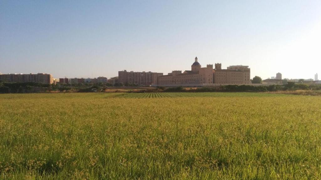 Orriols. Participabarrios