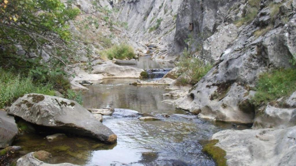 Río Torío