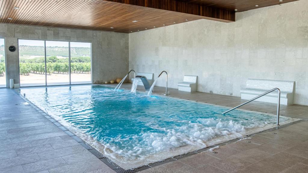 La piscina del spa, con vistas privilegiadas al viñedo.