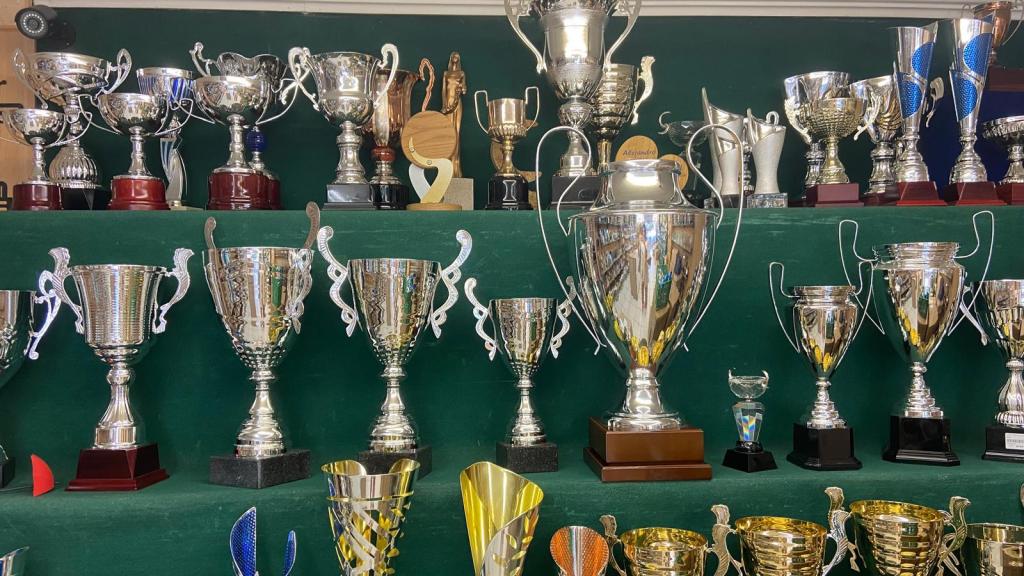 Estantería con trofeos.