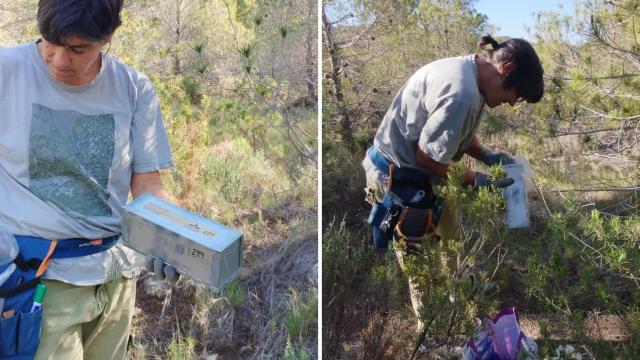 Terra Natura Benidorm se suma a un proyecto estatal de seguimiento de micromamíferos