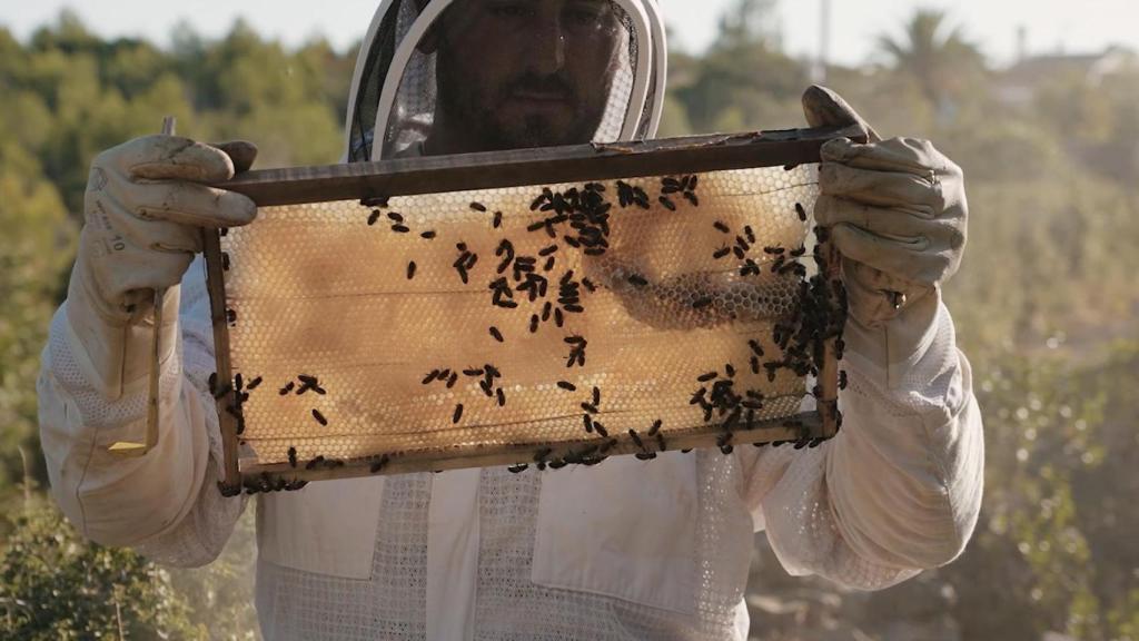 Eduardo Fernández, de Miel Montgó