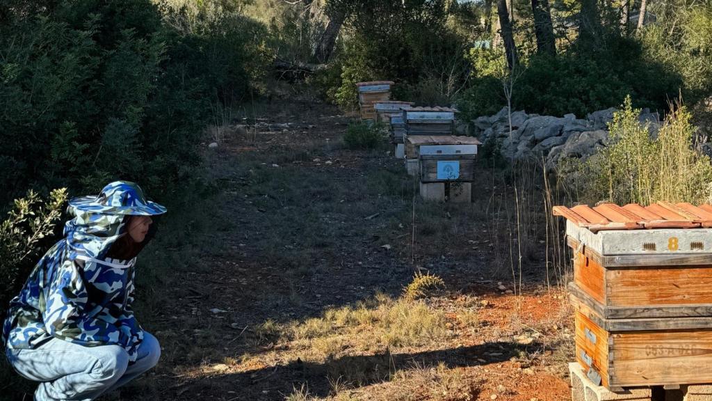 Miel Montgó también ofrece actividades relacionadas con el apiturismo.