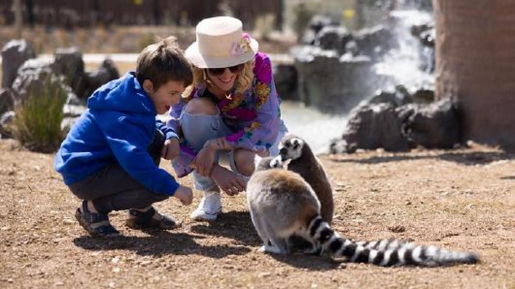 Una mujer y su hijo con lemures.