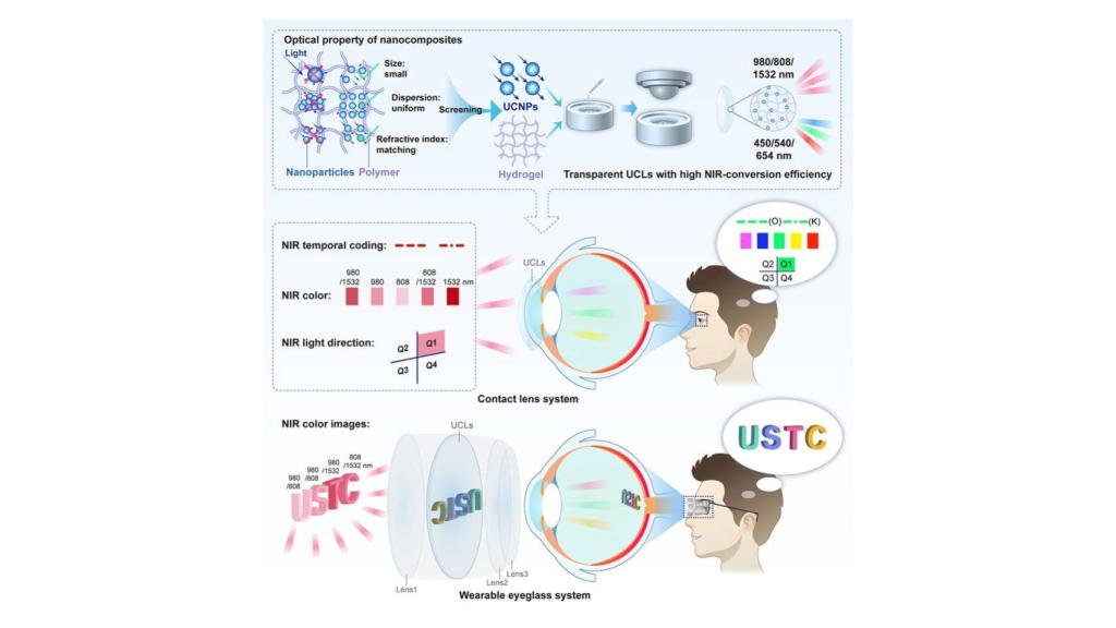 Figura ilustrativa del estudio.