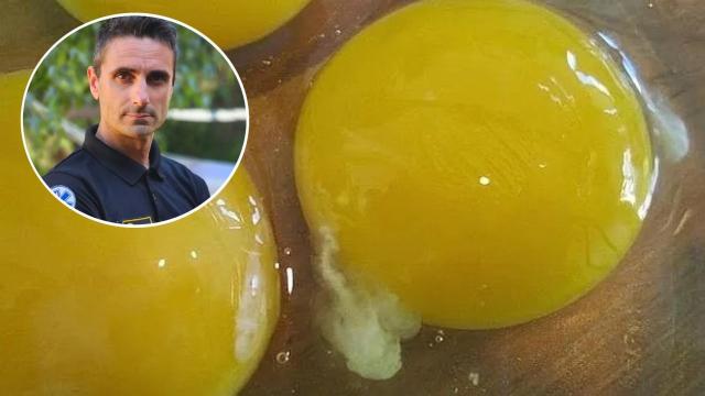 Huevos con chalaza y Miguel Assal.