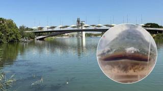 guadalquivir siluro darsena