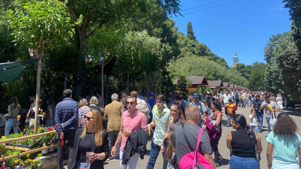 El Zaragoza Florece este sábado.