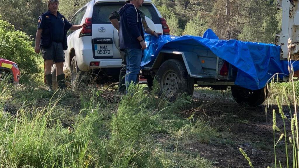 Transporte de los ejemplares varados en remolques. Foto: CHT