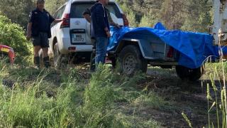 Transporte de los ejemplares varados en remolques. Foto: CHT