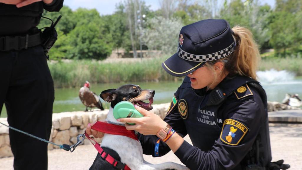 Los nuevos agentes que se incorporan a la Policía Local de Valencia. EE