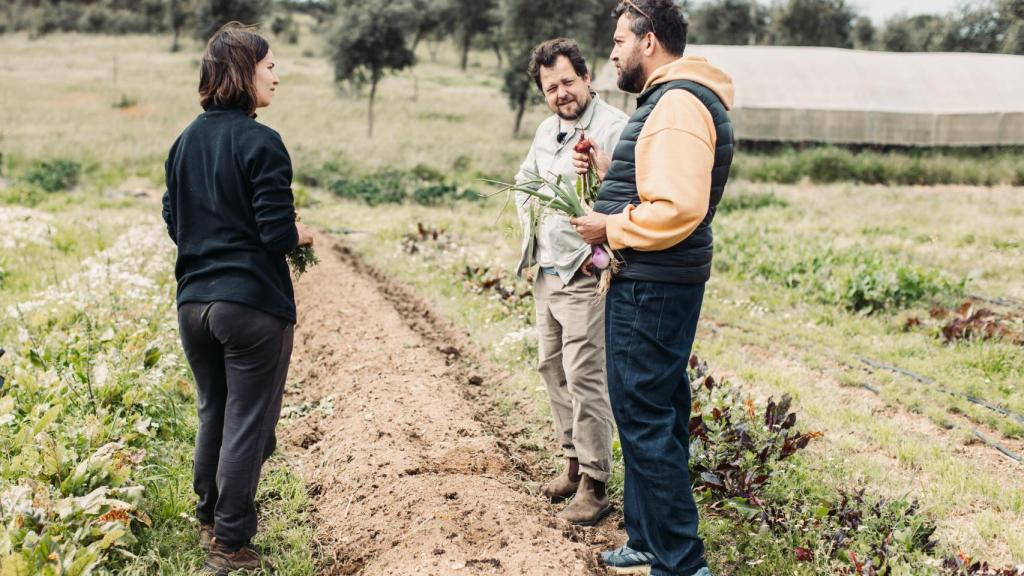 Joao Rodrigues y Maksut Askar charlando con Rita Pacheco, de Finca A Cerquinha.