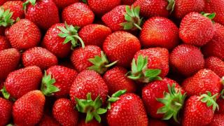 Captura de pantalla 2025-05-26 001053