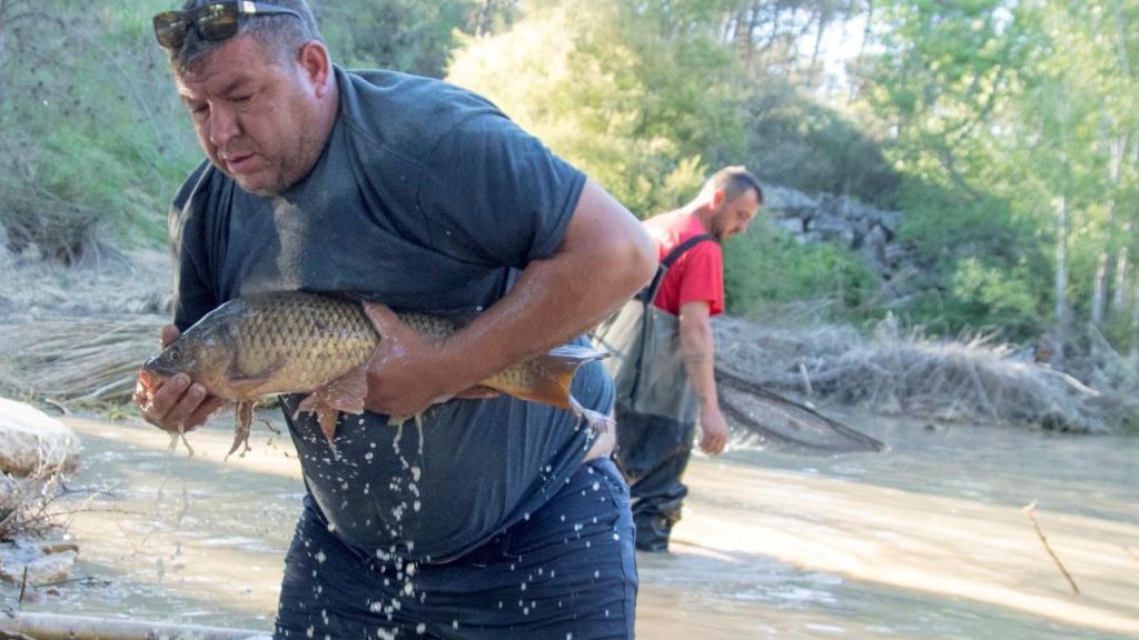 Un voluntario intenta salvar a un pez varado.