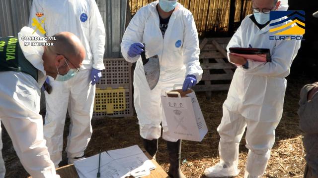 Imagen de la operación 'Pox'.