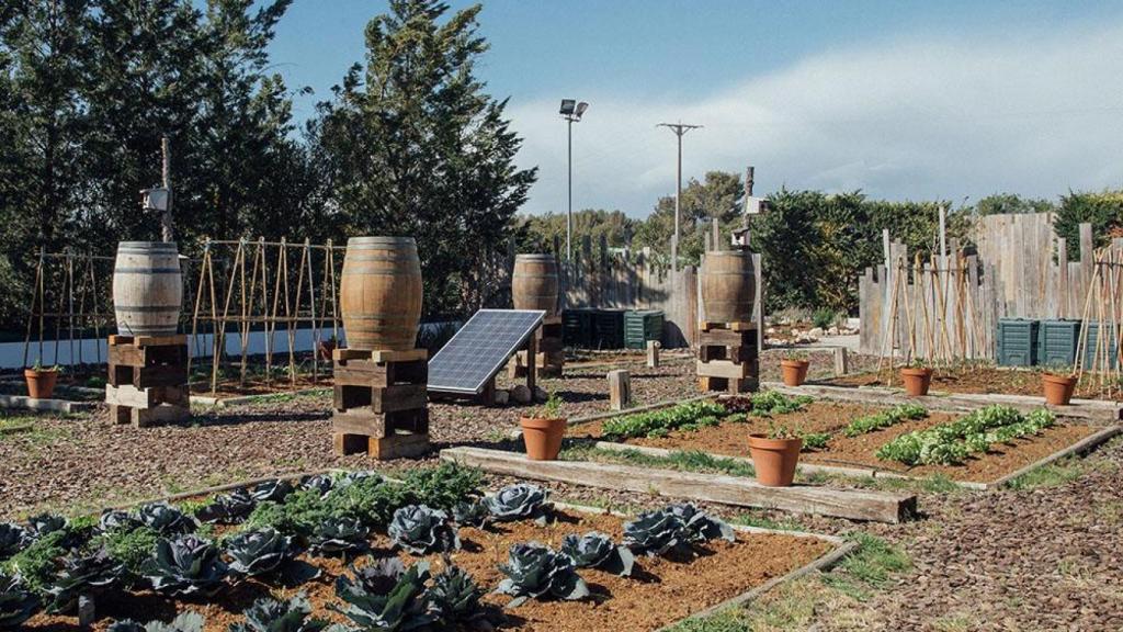 El huerto del restaurante Casa Nova.