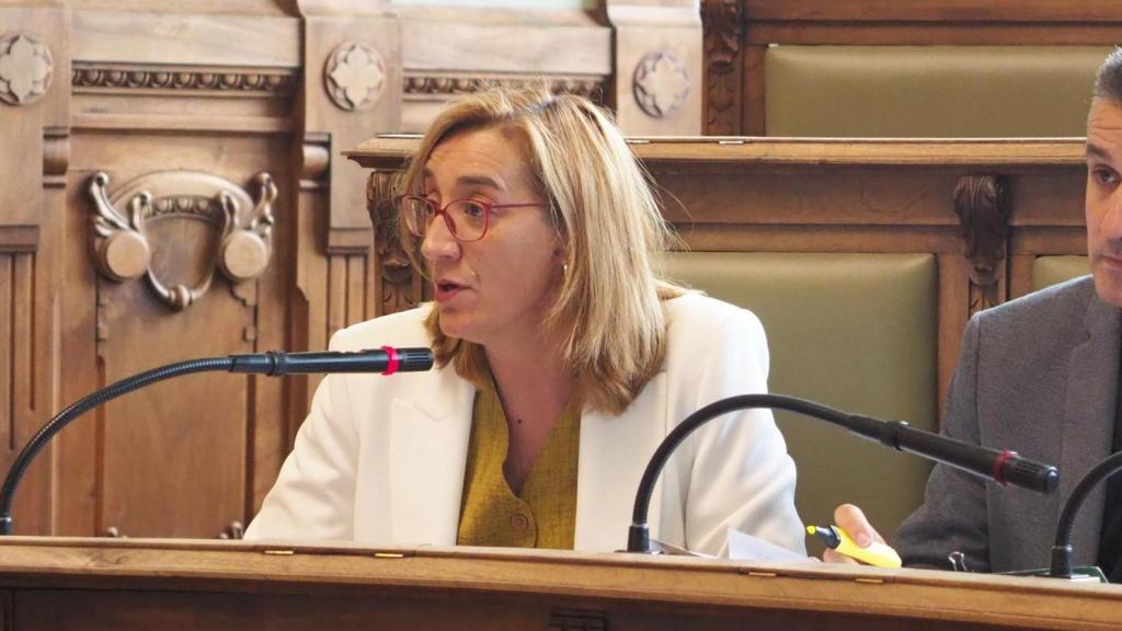 Rocío Anguita en una de sus intervenciones