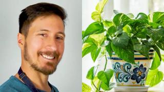 Felipe Castro, jardinero: Si tus plantas de casa tienen un color verde muy oscuro es que les falta luz