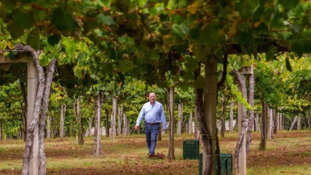 Rueda señala a una bodega pontevedresa como ejemplo de modernidad, identidad y excelencia