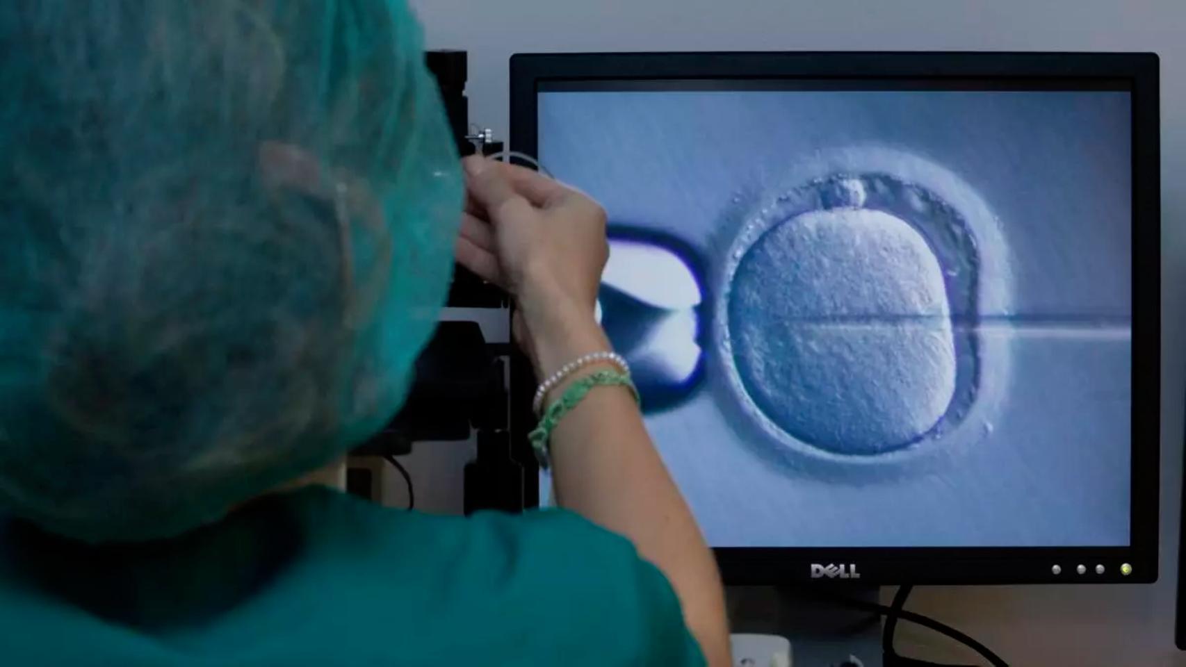 Un donante de semen anónimo transfiere una enfermedad rara a, al menos, tres hijos: "Ninguna ley obliga a mirar ciertos genes"