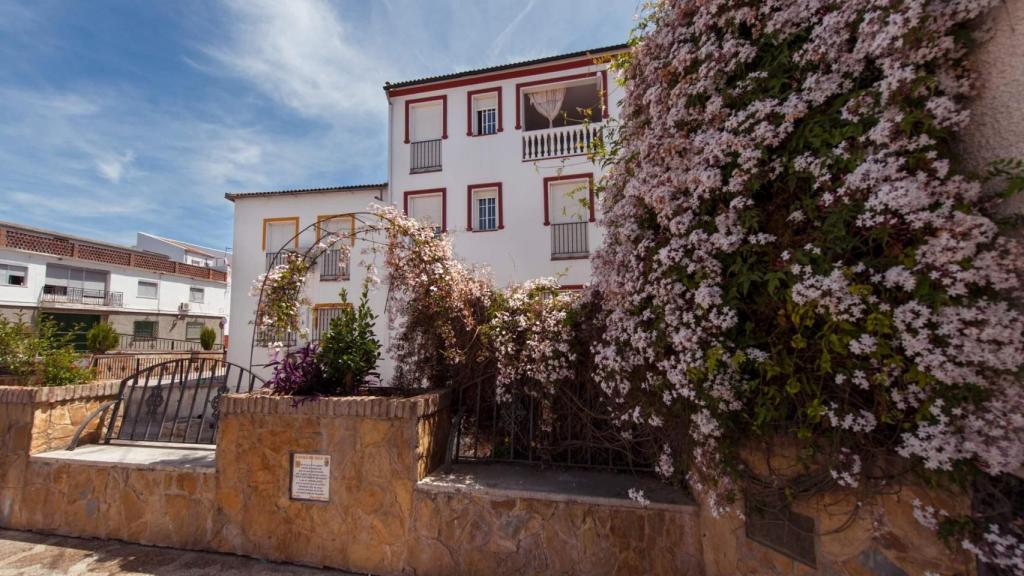 Rincones de Alcalá del Valle.