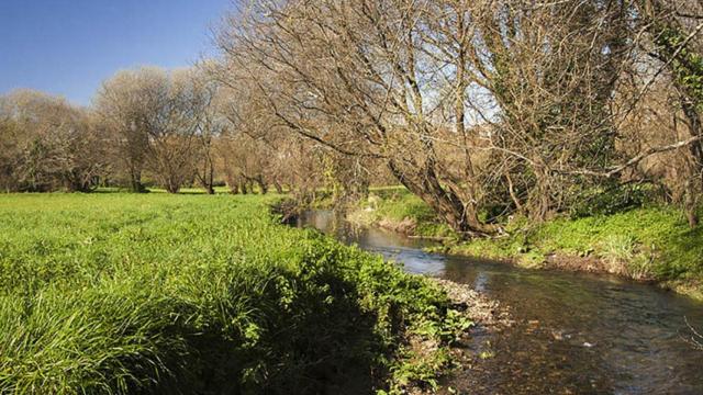 Brañas de Sar, en Santiago.