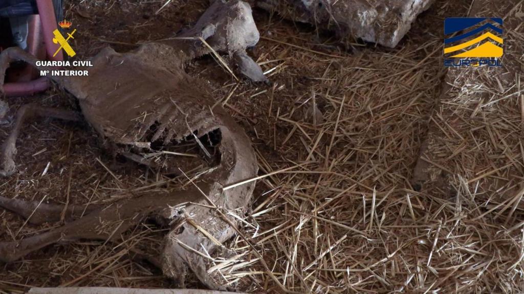 La carne en mal estado era ofrecida a los clientes de nueve restaurantes de Madrid.