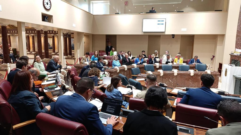 Los diputados de la Asamblea Regional votan la moción para impulsar la Ley Sara, este martes.