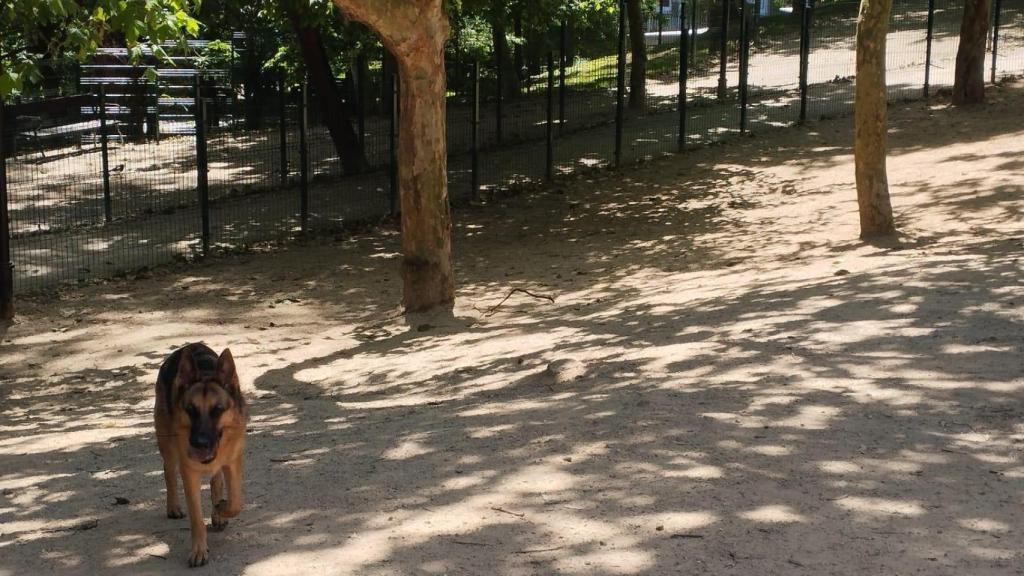 Parque canino de Santa Margarita