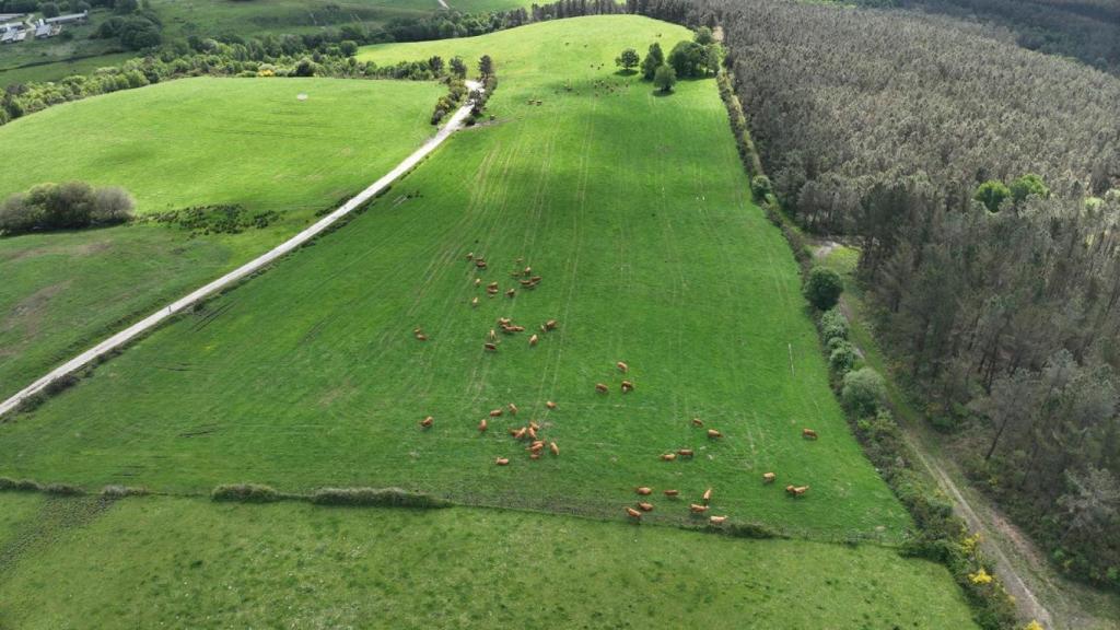 La UVigo lidera un proyecto europeo que impulsa la innovación en zonas rurales