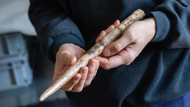 Punta de proyectil de gran tamaño fabricada con hueso de ballena gris hace 18.000 años.
