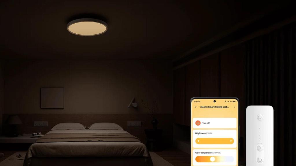 Xiaomi Smart Ceiling Light