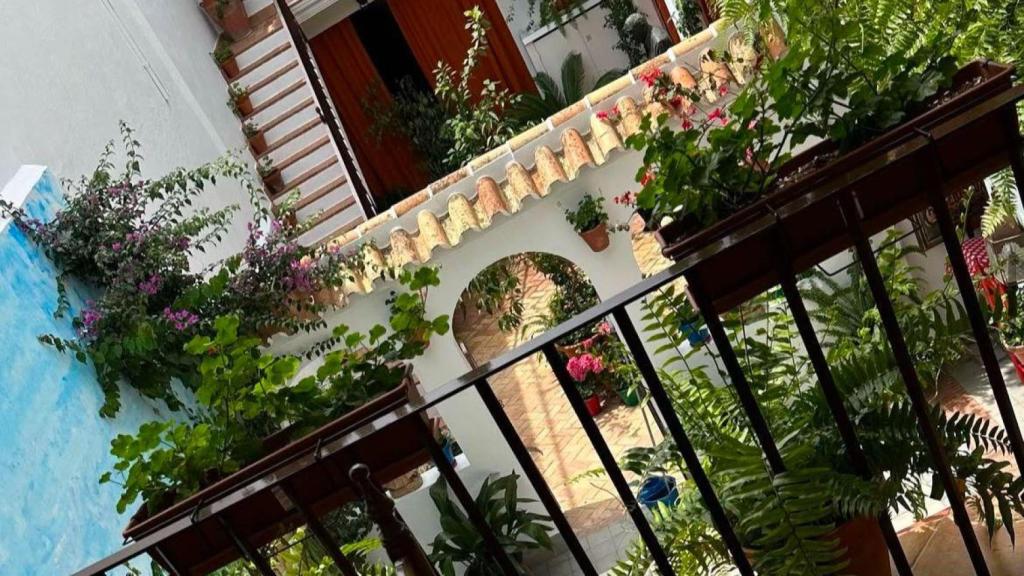 Imagen del patio de la casa de Vicky Martín Berrocal.