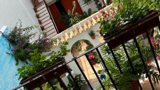 Imagen del patio de la casa de Vicky Martín Berrocal.