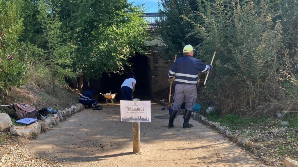 Foto: Ayuntamiento de Guadalajara.
