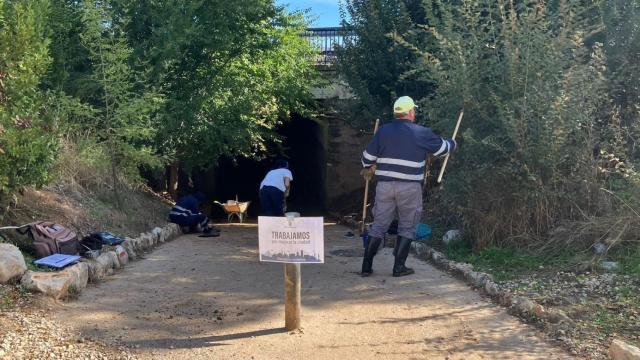 Foto: Ayuntamiento de Guadalajara.