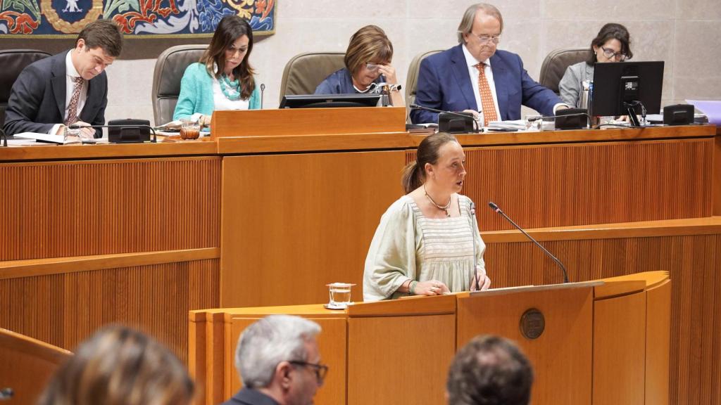 Carmen Susín, este jueves en la tribuna de las Cortes de Aragón.