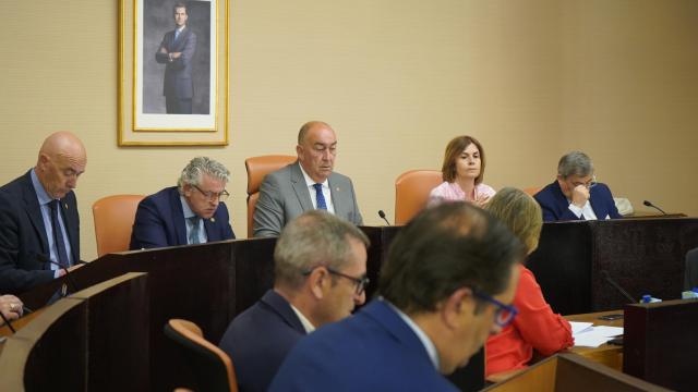 Imagen del pleno de la Diputación de Segovia de este jueves