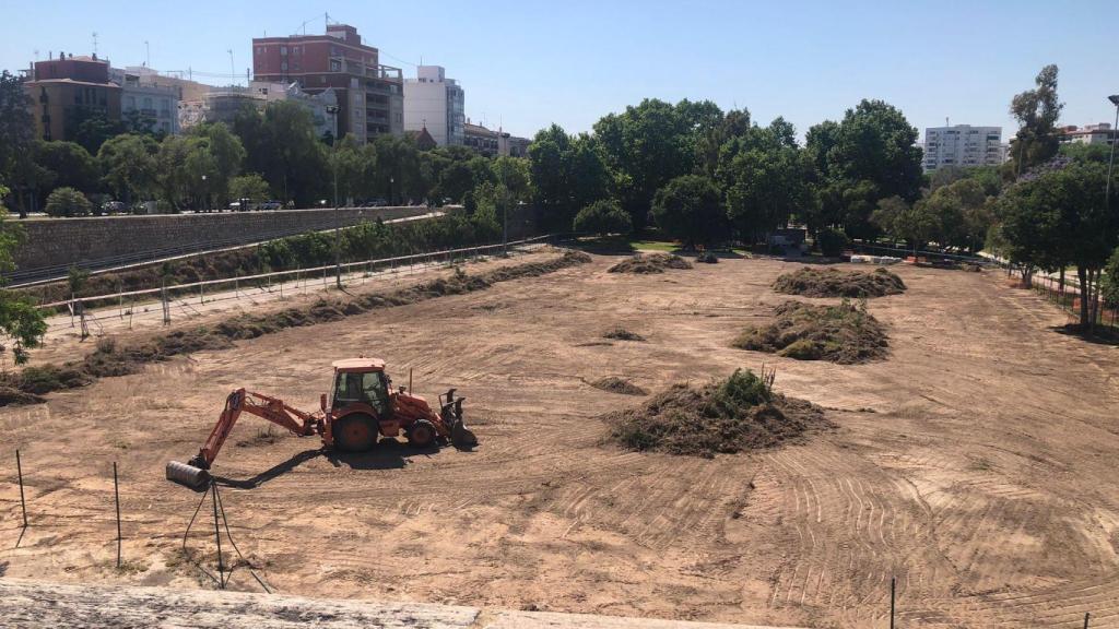 Valencia inicia las obras de su ‘hotel de insectos’. EE