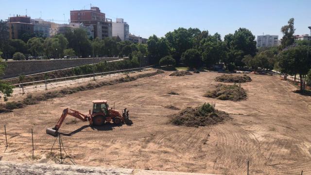 Valencia inicia las obras de su ‘hotel de insectos’. EE