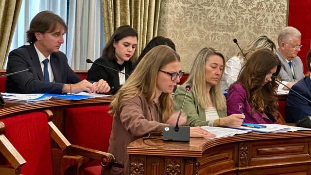 El Pleno de Alicante.