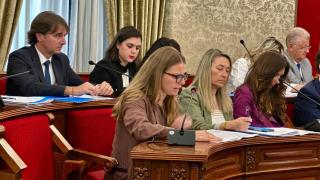 El Pleno de Alicante de este jueves.