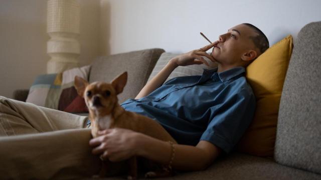 Expertos alertan sobre que fumar delante de tu mascota puede ser gravemente perjudicial para su salud.