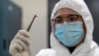 Un único gen logró que la peste negra se adaptara, sobreviviera y causara la pandemia más mortal de la Historia