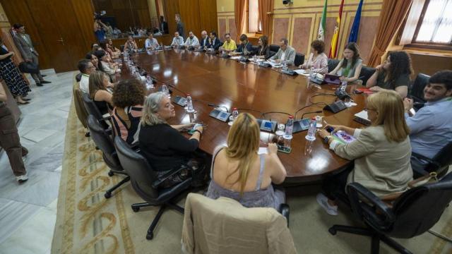 La vicepresidenta del Gobierno María Jesús Montero se reúne con entidades del sector de la Dependencia en Andalucía.