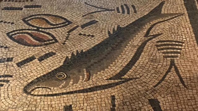 Mosaico de Panxón. https://asociacionmosaicopanxon.org